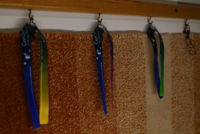CanSat wristbands
